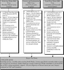 A Patient Focused Evaluation Of Breast Care Nursing