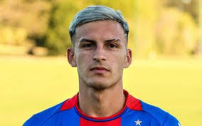 Luis Franks's Instagram, Twitter & Facebook