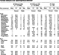 Image result for Diplolophium africanum