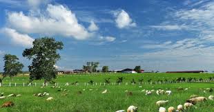 Al rajhi bank johor bahru (taman molek). Places In Johor That Ll Make You Believe You Re In Europe Lifestyle Travel News Asiaone