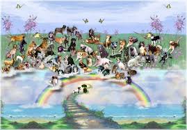 Benno pecher founded regenbogenland (means rainbow land in english) in 1980. Regenbogenland Regenboogbrug Honden Hondjes