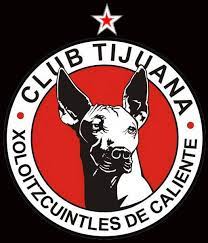 Xolo launched india's first smartphone with an intel processor. Xolos Presume Su Estrella De Campeon