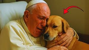 Derek Mulenga's Instagram, Twitter & Facebook