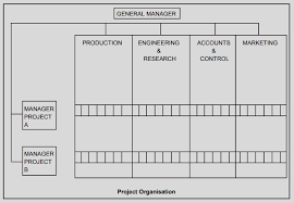 project management organization structure and chart