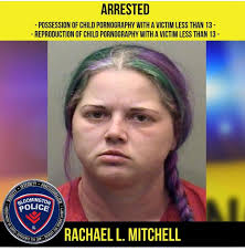 Rachael Mitchell, 34, pleaded in McLean County Circuit Court to counts of  possessing and reproducing child pornography. In return, prosecutors agreed  to drop several other counts.