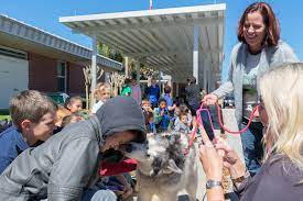 Rock church academy 1818 taylor rd port orange, fl 32128 grade level: Port Orange S Cypress Creek Elementary Kids Thanked With Slobbery Kisses Port Orange Observer