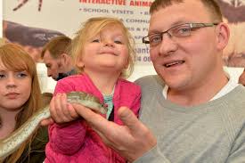 Balmoral Show results Day 2 2015