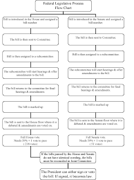 18 punctilious legislative process chart