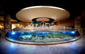 Istanbul Aquarium Istanbul Ticket Price Timings Address Triphobo