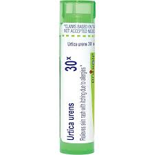 Image result for Urtica urens