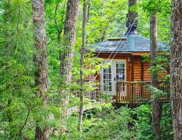 Find vacation rentals with your favorite amenities: Wv Cabins West Virginia Cabin Rentals Near The New River Gorge In 2021 West Virginia Cabin Rentals Cabins In West Virginia Tree House