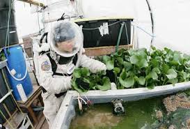 You can unsubscribe at any time. Growing Green On The Red Planet American Chemical Society