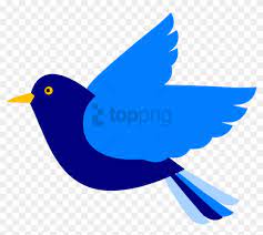 Please use and share these clipart pictures with your friends. Free Png Download Blue Bird Png Images Background Png Fly Bird Clipart Png Free Transparent Png Clipart Images Download