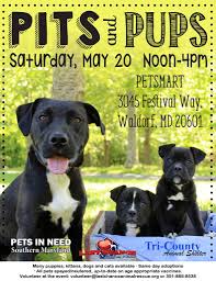 Maybe you would like to learn more about one of these? Events Last Chance Animal Rescue