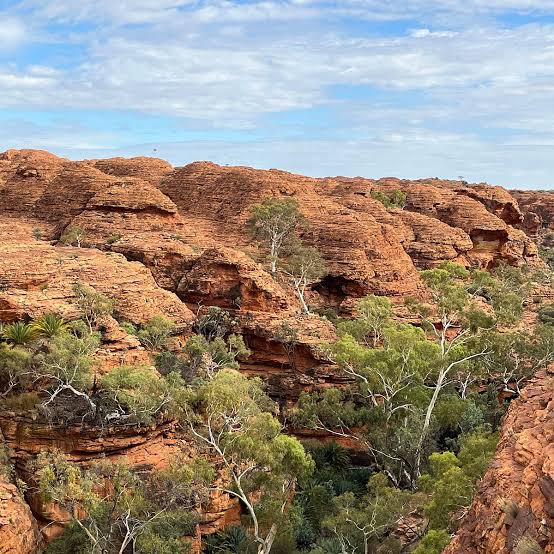 WATARRKA NATIONAL PARK - All You SHOULD Know Before You Go 2026 (w/ Reviews)