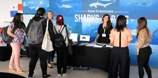 A Historic Win for Sharks and Rays