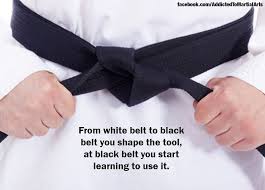 Pin By Kelly Barnes On Tkd Gradings Black Belts Martial Arts Quotes Karate Martial Arts Martial Arts