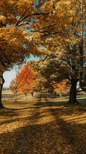 We've gathered more than 5 million images uploaded by our users and sorted them by the most popular ones. Midwest 1080p 2k 4k 5k Hd Wallpapers Free Download Wallpaper Flare