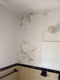 Hold a scrap of cardboard underneath the damaged area to catch the falling flakes. Repair Work Susan Rogovsky