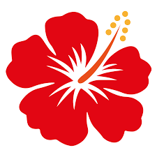 Hibiscus Sticker By Olivia Lieu Hibiscus Drawing Flower Drawing Flower Silhouette