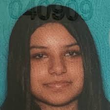 SFVS, Author at The San Fernando Valley Sun