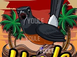 Burung murai batu lampung kini mulai langka keberadaannya sehingga harganya semakin mahal pula. Info Murai Batu Vector Png Masteran Kicau Club