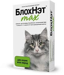 как в домашних условиях избавиться от блох у котенка Ushnoj Klesh U Koshki Lechenie Simptomy V Domashnih Usloviyah Kapli Ot Ushnogo Klesha Dlya Koshek Nvp Astrafarm