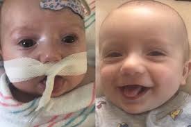 Fundraiser for Shayla Marie Addison by heather ODaniel : Rally with Ryker