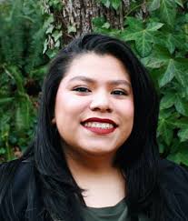 The McLeod Group Network