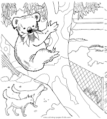 Bears are among the most iconic animals today. Koala Bears Color Page Zoo Animal Coloring Pages Bear Coloring Pages Animal Coloring Books