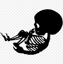 Download Skeleton Transparent Baby Baby Skeleton Stencil Png Image With Transparent Background Toppng