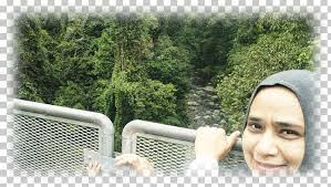 Enjoy 1.5km walking top of forest. The Tree Top Walk Sungai Sedim Karanga Png Clipart 19 September Energy Grass Kedah Leisure Free