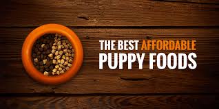 Where is the best place to buy cheap dog food? 5 Best Cheap Puppy Foods W Puppy Feeding Guide