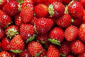 Gambar menanam buah berry manis musim panas makanan merah. Buah Strawberry Segar Home Facebook