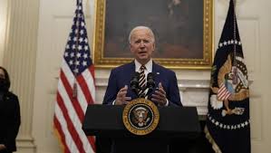 Image result for Bidens diversa