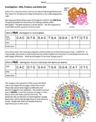 Dna, rna, replication, protein synthesis, quiz. Dna Proteins And Sickle Cell