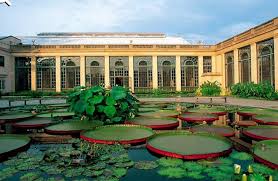 Pin By Eddie On Gardens Longwood Gardens Longwood Garden Beautiful Gardens