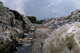 We currently compare several money transfer companies able to send malaysian ringgits in cash in malaysia: We Found Uk Plastic Waste In Illegal Dump Sites In Malaysia Unearthed