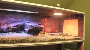 Diy bearded dragon cage can be customized to meet your specific needs such as their size, dimension, the location you will place them, or match with your. Custom Bearded Dragon Enclosure With Background Youtube