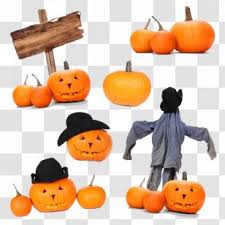 Check spelling or type a new query. Animal Crossing New Leaf Jack O Lantern Clip Art Crossing Quize Transparent Png