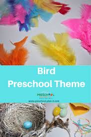 Preschool Birds Theme