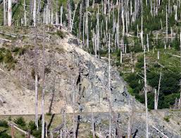 The biggest problem with this story most of the way through is the absolute. 10 Common Misconceptions About Randonneuring Rene Herse Cycles