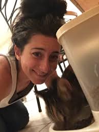 Lost Cat Returns Home After 6 Months