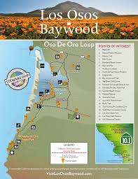 Oso De Oro Loop Wine Coast Country