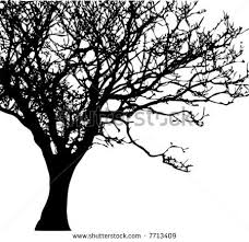 Trees Black White Clip Art Free Vector For Free Download About 53 Free Vector In Ai Eps Cdr Svg Format Tree Silhouette Vector Trees Free Clip Art Black and white caribbean beach with palm trees. trees black white clip art free vector
