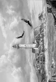 So, for example, you have to paint all. Coloring For Adults Kleuren Voor Volwassenen Grayscale Coloring Landscape Drawings Scenery