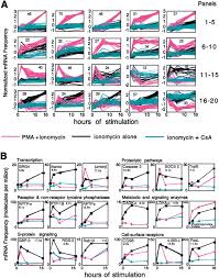 So sind vorformen von bier und wein seit rund 9.000 jahren bekannt. Transcriptional Mechanisms Underlying Lymphocyte Tolerance Sciencedirect