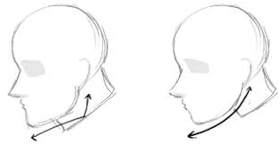 Difference Between Drawing Male And Female Anime Manga Heads Faces How To Draw Step By Step Drawing Tutorials Draw any hairstyle of your liking add some ears and a neck. difference between drawing male and