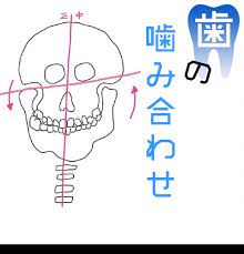 顔の歪みケアで美人に まずは噛み合わせ改善から 顔の歪み 美容 顔