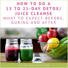 I'm sharing my recipes and tips for your own diy juice cleanse cleanse. 15 To 21 Day Detox Juice Cleanse What To Expect Before During And After